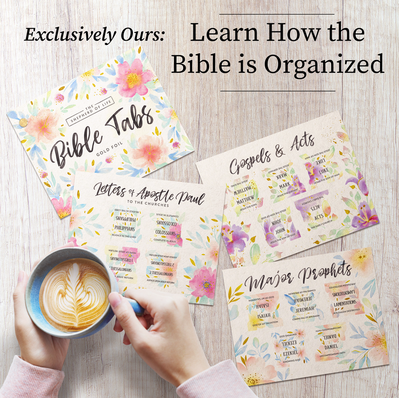 Bible Tabs Gold Floral - Soul Nourishing Book Summaries - 66 Peel-and ...